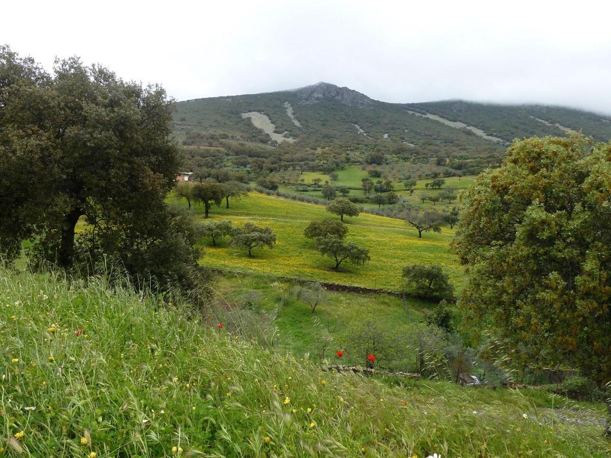 Casa Rural La Colmena Del Geoparque Navatrasierra Esterno foto