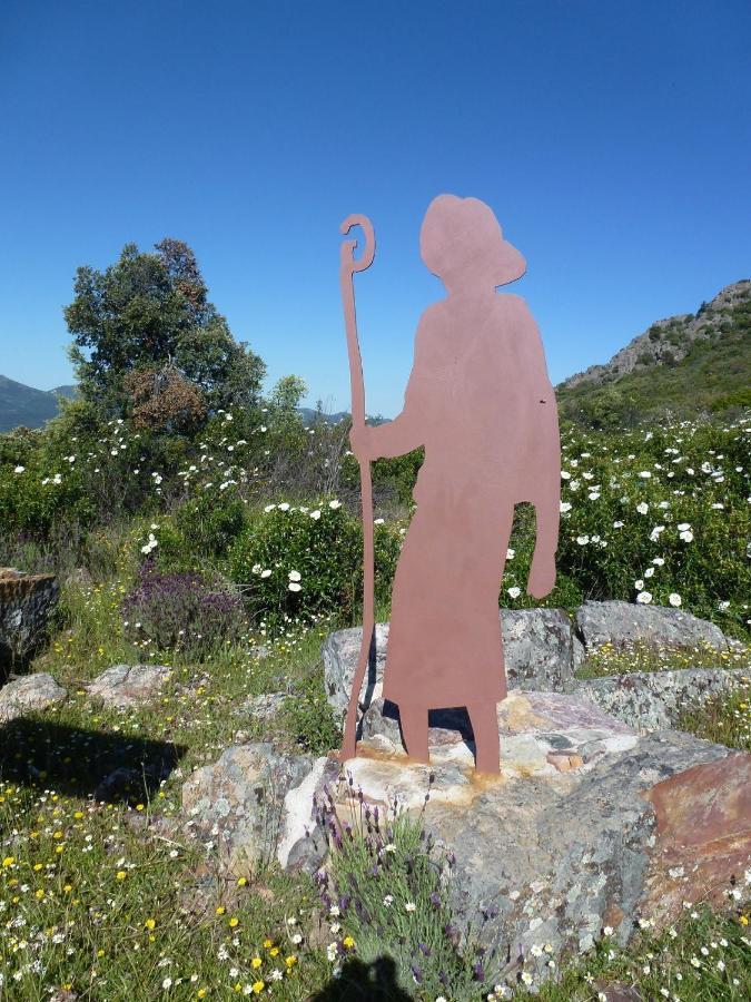 Casa Rural La Colmena Del Geoparque Navatrasierra Esterno foto