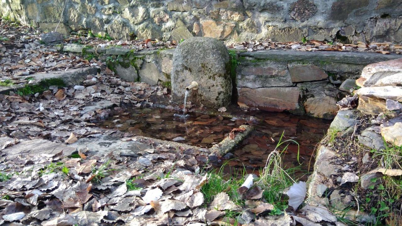 Casa Rural La Colmena Del Geoparque Navatrasierra Esterno foto